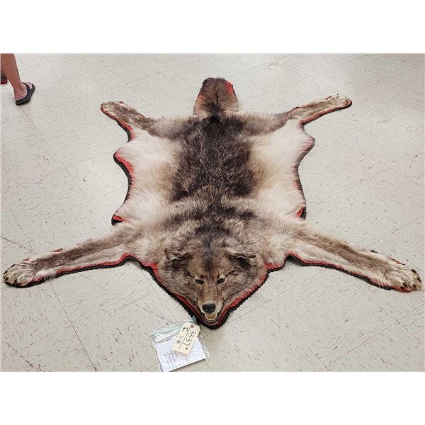 Canadian Wolf Rug Taxidermy