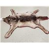 Image 2 : Canadian Wolf Rug Taxidermy