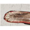 Image 7 : Canadian Wolf Rug Taxidermy