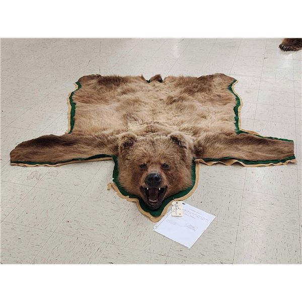 Alaskan Grizzly Bear Rug Taxidermy