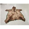 Image 3 : Alaskan Grizzly Bear Rug Taxidermy