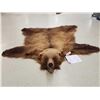 Image 1 : Alaskan Brown Bear Rug Taxidermy