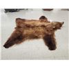 Image 2 : Alaskan Brown Bear Rug Taxidermy