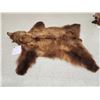 Image 4 : Alaskan Brown Bear Rug Taxidermy
