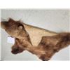 Image 8 : Alaskan Brown Bear Rug Taxidermy