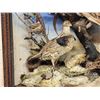 Image 4 : Trio Of Ruffed Grouse Vintage Bird Taxidermy In Antique Diorama Frame