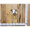 Image 1 : Holstein Calf Head Mount Taxidermy