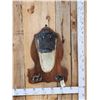 Image 1 : Alligator Head & Feet On Plaque Taxidermy Mount