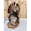 Image 4 : Turkey In Full Strut Bird Taxidermy