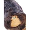 Image 6 : Black Bear Half Body Taxidermy Mount