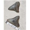 Image 1 : 2 Big Megalodon Shark Fossilized Teeth