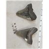 Image 4 : 2 Big Megalodon Shark Fossilized Teeth