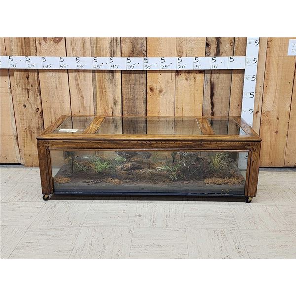 2 Grouse In A Coffee Table Bird Taxidermy