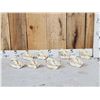 Image 1 : 8 Beaver Skulls Taxidermy