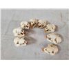 Image 6 : 8 Beaver Skulls Taxidermy