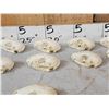 Image 3 : 12 Raccoon Skulls Taxidermy