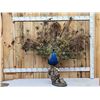 Image 1 : Strutting Peacock Full Body Bird Taxidermy