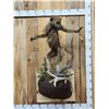 Image 1 : Juvenile Baboon VS Viper Snake Full Body Taxidermy Mount