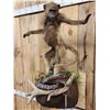 Image 5 : Juvenile Baboon VS Viper Snake Full Body Taxidermy Mount