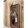Image 3 : Ringneck Pheasant Harvest Mount Bird Taxidermy