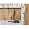 Image 1 : Chipmunk Lounging On Driftwood Taxidermy Mount
