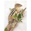 Image 4 : Chipmunk Lounging On Driftwood Taxidermy Mount