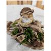 Image 6 : Chipmunk Lounging On Driftwood Taxidermy Mount