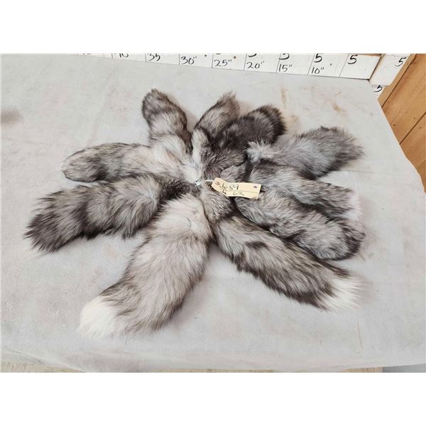 10 Silver Ranch Fox Tails Taxidermy