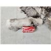 Image 2 : 10 Silver Ranch Fox Tails Taxidermy