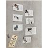 Image 1 : Small Fossil collection