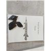 Image 2 : Small Fossil collection