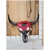 Image 1 : American Bison Buffalo Skull Native American Artwork