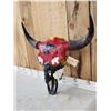 Image 3 : American Bison Buffalo Skull Native American Artwork