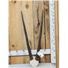 Image 1 : African Gemsbok Horns On Skull Plate
