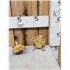 Image 1 : 2 Turtles Full Body Taxidermy Mount