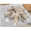 Image 1 : 10 Cross Ranch Fox Tails Taxidermy