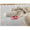 Image 3 : 10 Cross Ranch Fox Tails Taxidermy