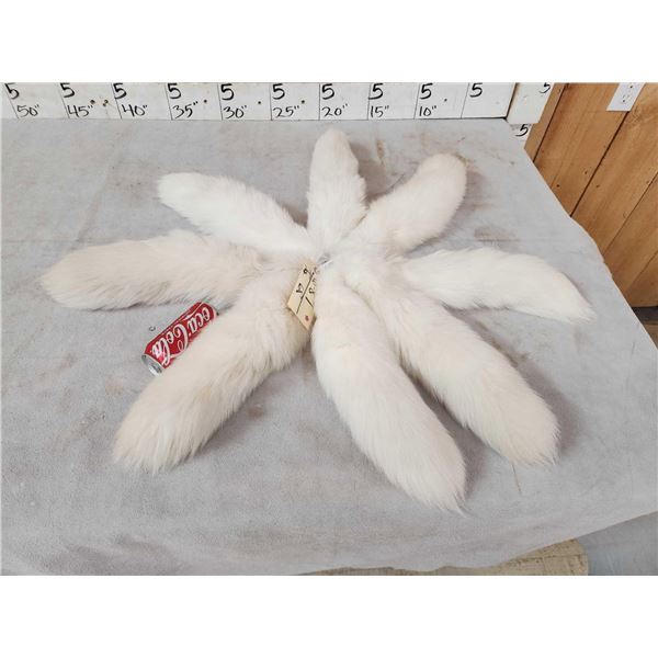 8 Arctic Ranch Fox Tails Taxidermy