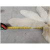 Image 4 : 8 Arctic Ranch Fox Tails Taxidermy