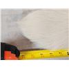 Image 5 : 8 Arctic Ranch Fox Tails Taxidermy