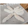 Image 6 : 8 Arctic Ranch Fox Tails Taxidermy