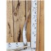 Image 3 : 20 Longhorns Steer Horns Taxidermy