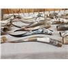 Image 6 : 20 Longhorns Steer Horns Taxidermy