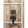 Image 1 : Dual Ringneck Pheasant Harvest Mount Bird Taxidermy