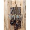 Image 2 : Dual Ringneck Pheasant Harvest Mount Bird Taxidermy