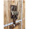 Image 5 : Dual Ringneck Pheasant Harvest Mount Bird Taxidermy