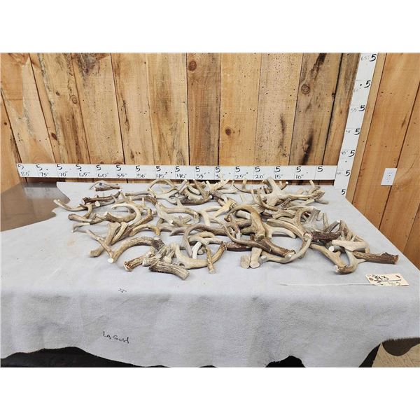 35.6 Lbs Of Antler Dog Chews