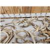 Image 3 : 35.6 Lbs Of Antler Dog Chews