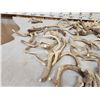 Image 4 : 35.6 Lbs Of Antler Dog Chews
