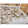 Image 5 : 35.6 Lbs Of Antler Dog Chews